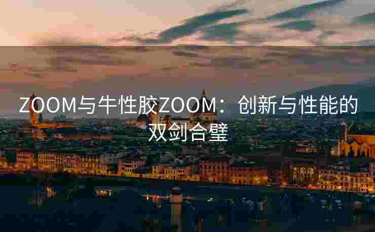 ZOOM与牛性胶ZOOM：创新与性能的双剑合璧