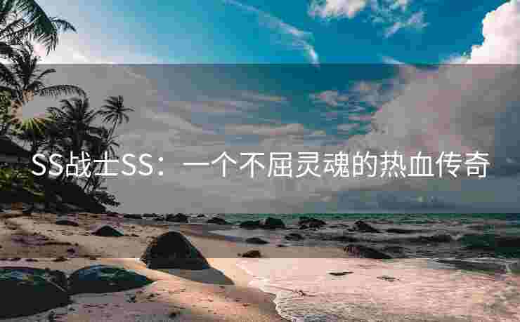 SS战士SS：一个不屈灵魂的热血传奇