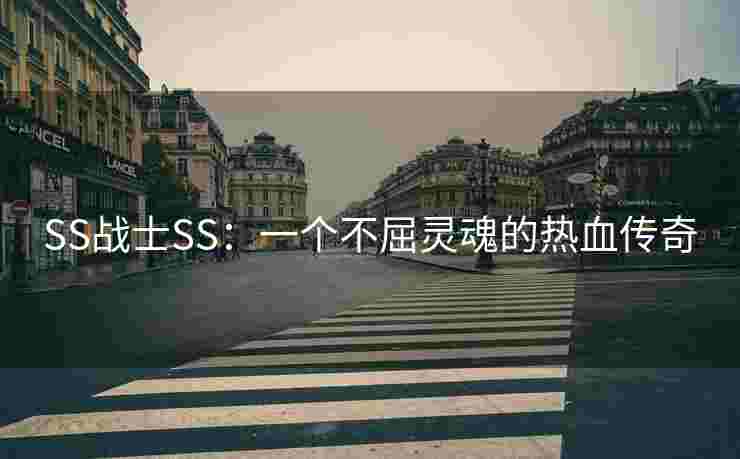 SS战士SS：一个不屈灵魂的热血传奇
