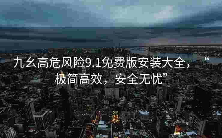 九幺高危风险9.1免费版安装大全，“极简高效，安全无忧”
